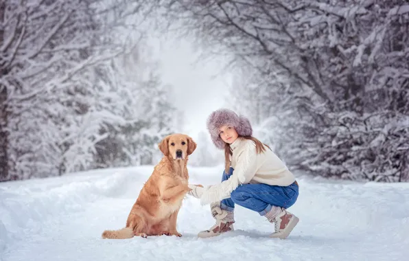 Picture winter, girl, snow, trees, nature, animal, dog, dog, Retriever, Victoria Dubrovskaya