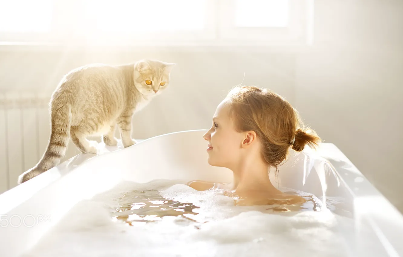 Photo wallpaper cat, cat, look, foam, girl, rays, light, face, smile, mood, bathing, window, bath, profile, light …