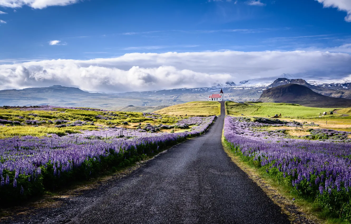 Photo wallpaper road, clouds, landscape, flowers, mountains, nature, Church, Iceland, lupins, the Peninsula, Snæfellsnes, Snæfellsnes