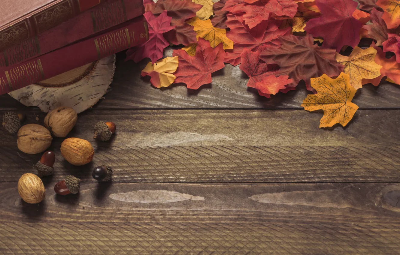 Photo wallpaper autumn, leaves, background, colorful, Board, wood, acorns, background, autumn, leaves, autumn, maple