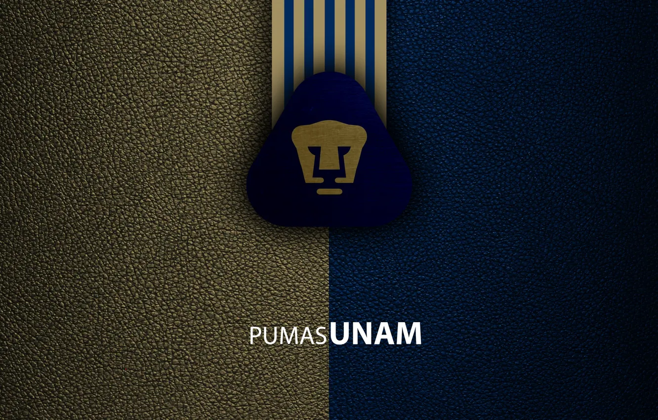 Wallpaper wallpaper, sport, logo, football, Italian Seria A, Club  Universidad Nacional UNAM PUMAS images for desktop, section спорт - download