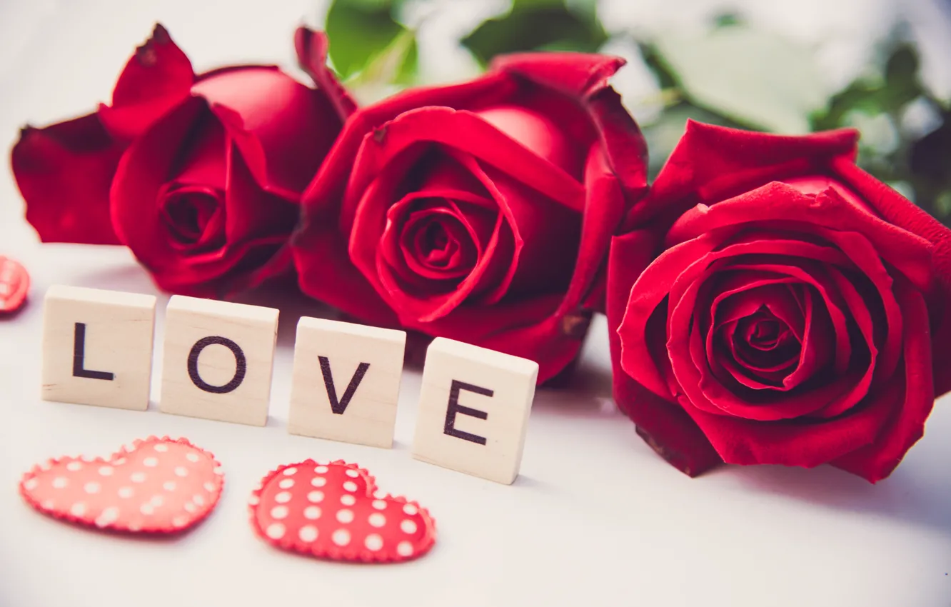 Love Heart Roses Red Romantic Flowers Rozy Krasnye Serdtse L 