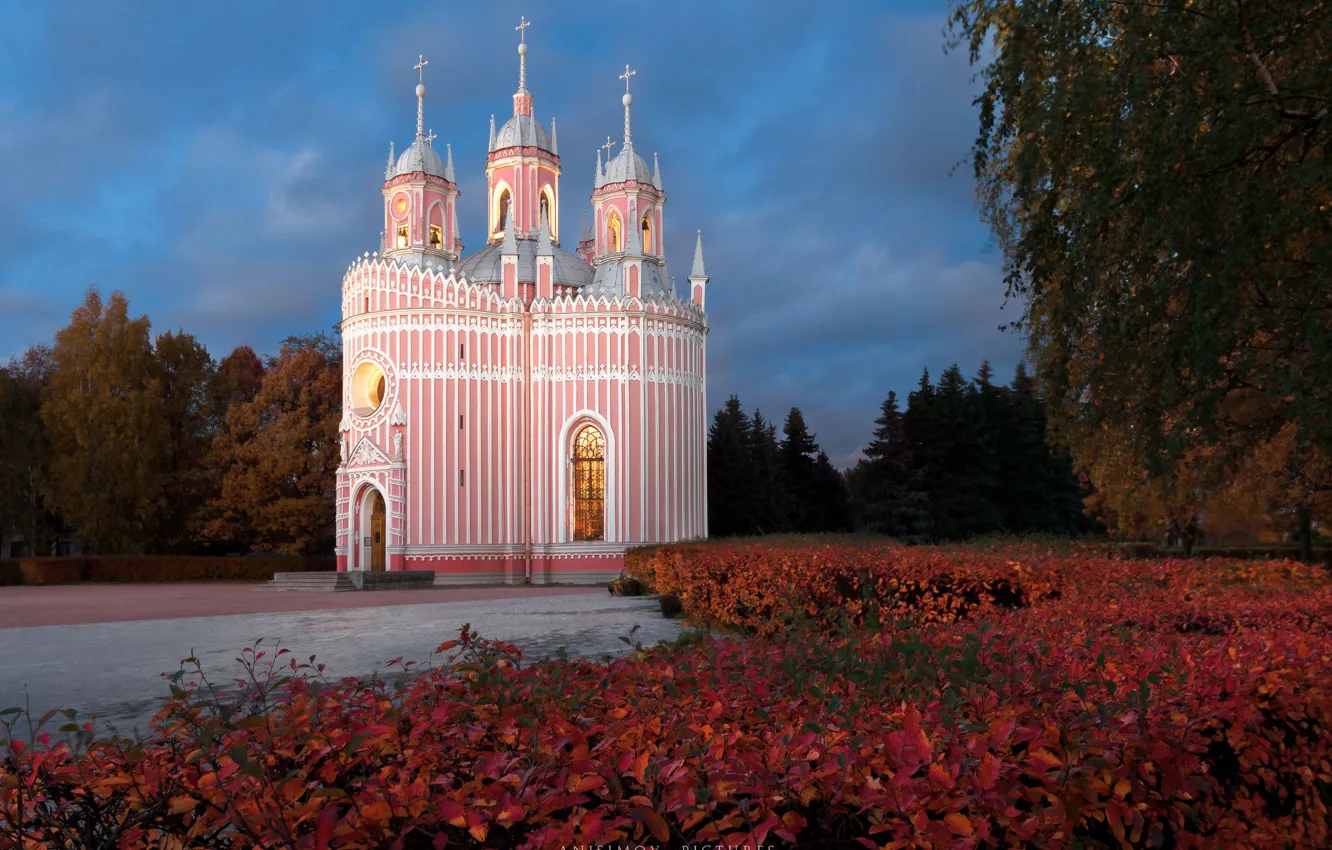 Photo wallpaper Park, Saint Petersburg, Church, temple, Russia, architecture, Dmitry Anisimov, Chesma Church