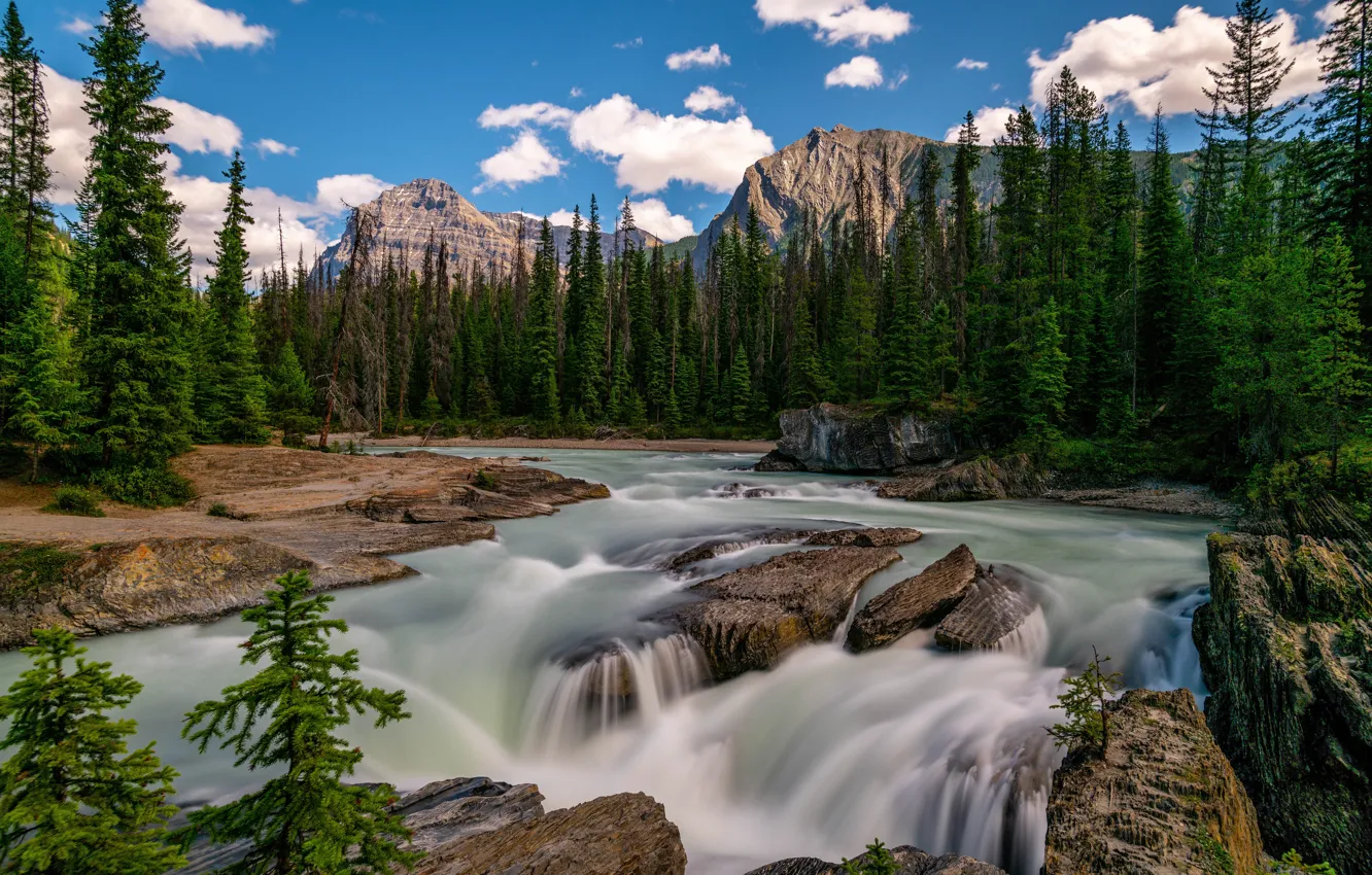 Photo wallpaper forest, mountains, river, ate, Canada, Canada, British Columbia, cascade, British Columbia, Kicking Horse River, Yoho …
