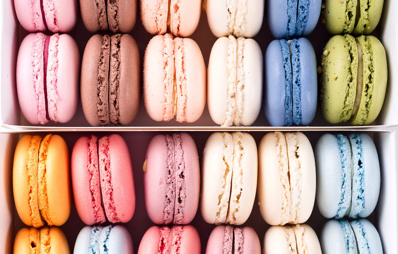 Photo wallpaper background, colors, colorful, french, macaron, macaroon