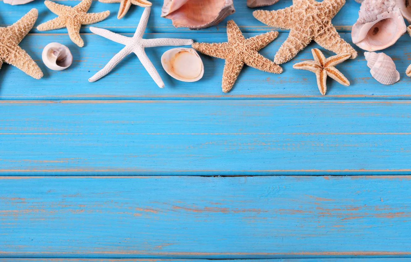 Wallpaper beach, background, Board, star, shell, summer, beach, wood,  marine, starfish, seashells images for desktop, section разное - download