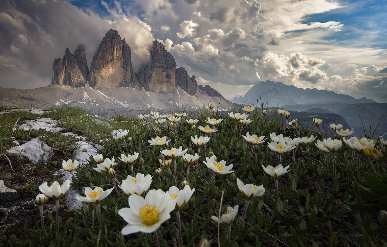 Photo wallpaper clouds, landscape, flowers, mountains, nature, Italy, grass, anemones, The three Peaks of Lavaredo, The Dolomites, …