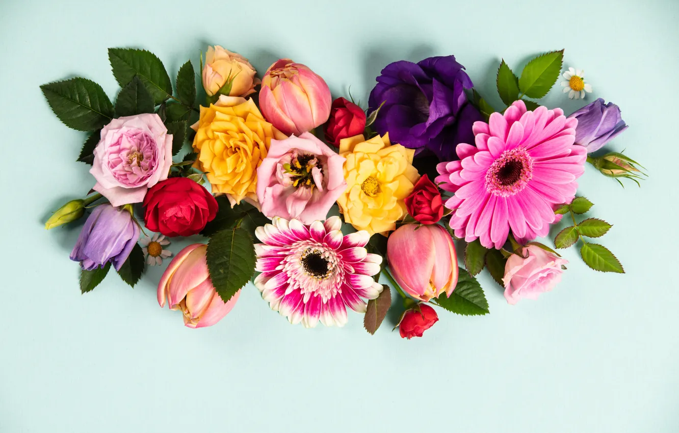 Photo wallpaper flowers, colorful, flowers, composition, floral