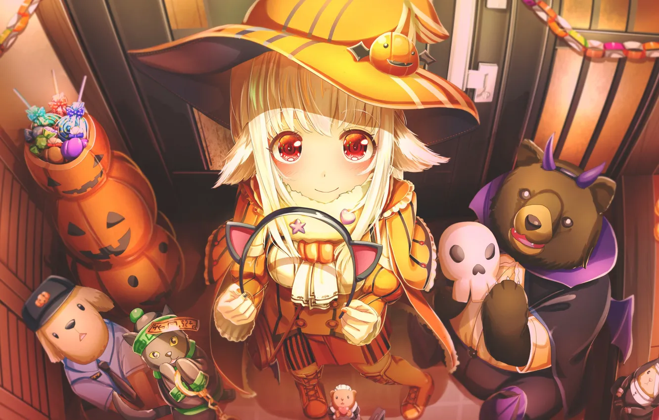 Photo wallpaper pumpkin, sweets, halloween, plush toy, looking up, witch hat, cat ears, witch, entrance hall