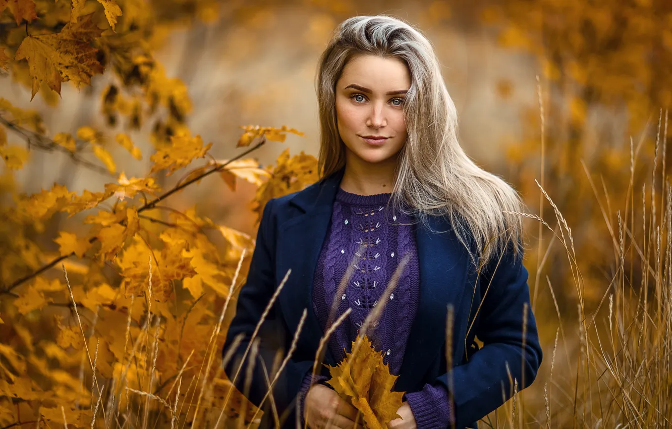 Photo wallpaper autumn, look, leaves, girl, blonde, Sergey Sorokin