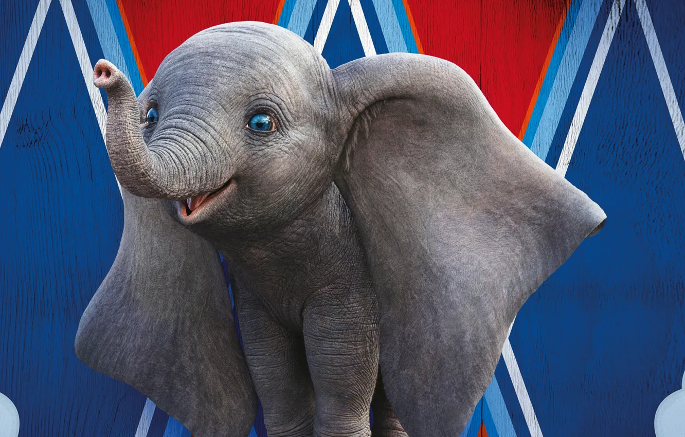 Wallpaper eyes, elephant, cartoon, circus, ears, trunk, elephant, Dumbo,  Dumbo images for desktop, section фильмы - download