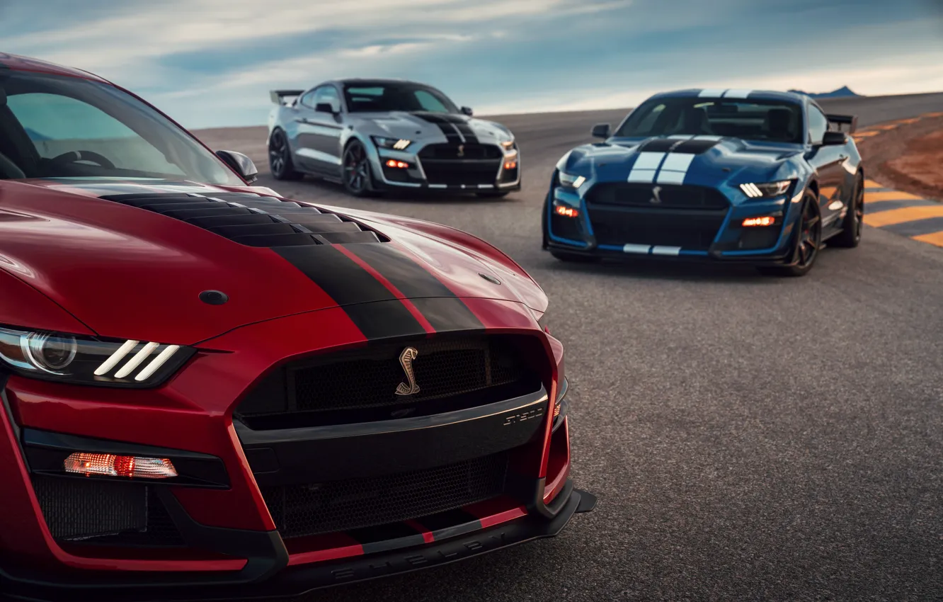 Photo wallpaper blue, Mustang, Ford, Shelby, GT500, the hood, three, bloody, 2019, gray-silver
