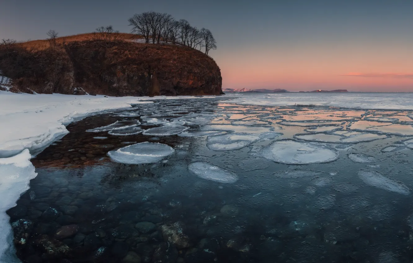 Photo wallpaper sea, trees, landscape, nature, rocks, ice, spring, Primorsky Krai