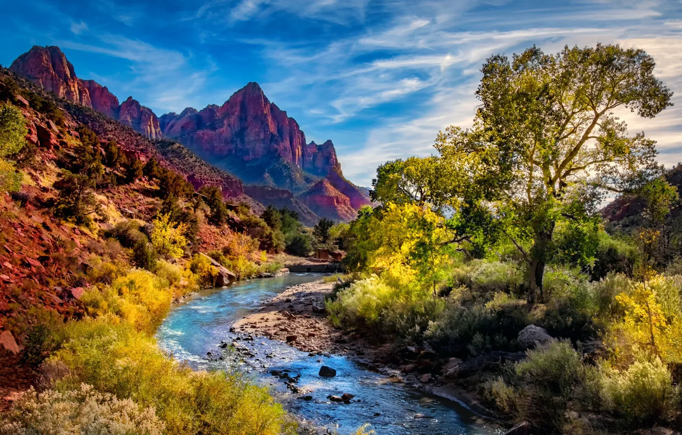 Photo wallpaper trees, landscape, mountains, nature, river, canyon, Utah, USA, the bushes, national Park, Zion