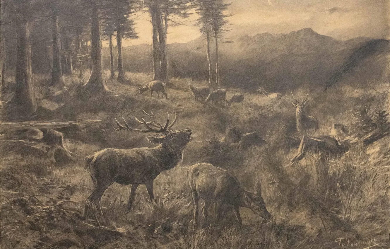 Photo wallpaper Grass, Trees, Picture, Deer, Pencil, Franz Xaver von Pausinger, Стая оленей на лесной поляне, Франц …