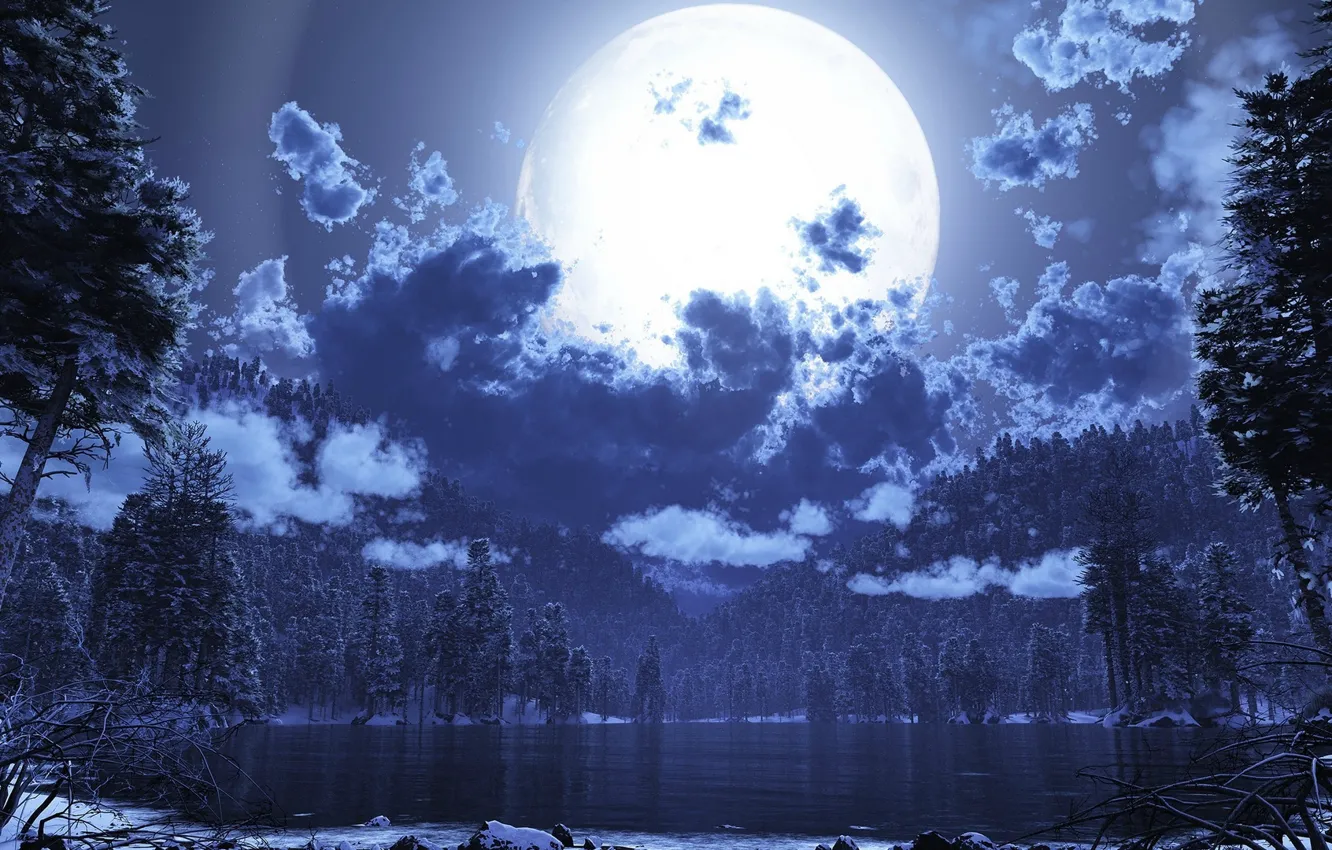 Photo wallpaper forest, night, nature, lake, the moon