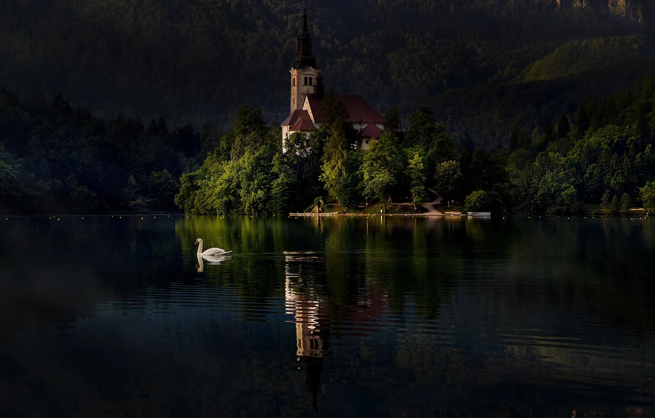 Photo wallpaper lake, bird, Swan, Slovenia, Lake bled, Bled
