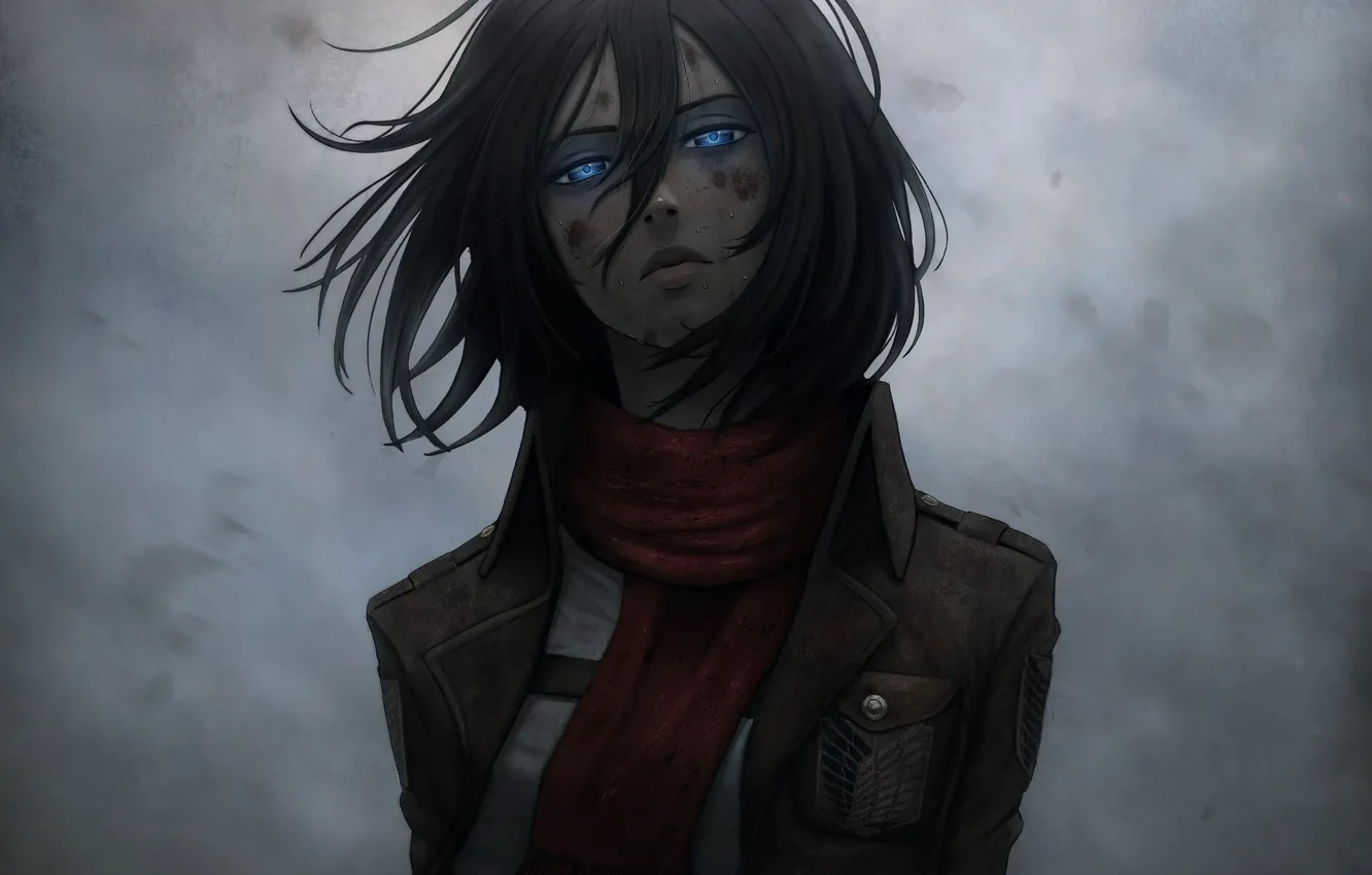 Photo wallpaper emblem, blue eyes, grey background, art, military uniform, Shingeki no Kyojin, Mikasa Ackerman, abrasion, red …