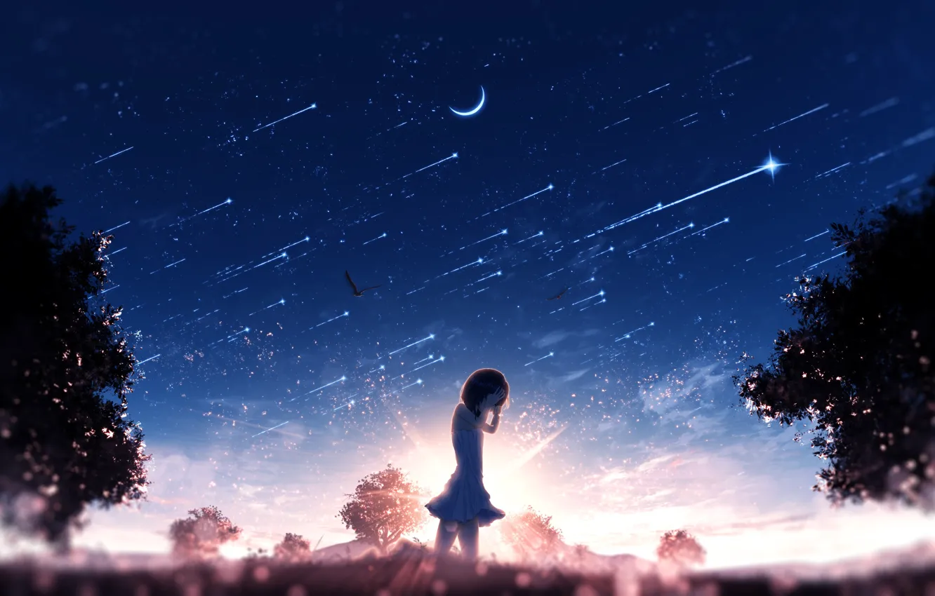 Photo wallpaper the sky, the sun, girl, crying, Crescent