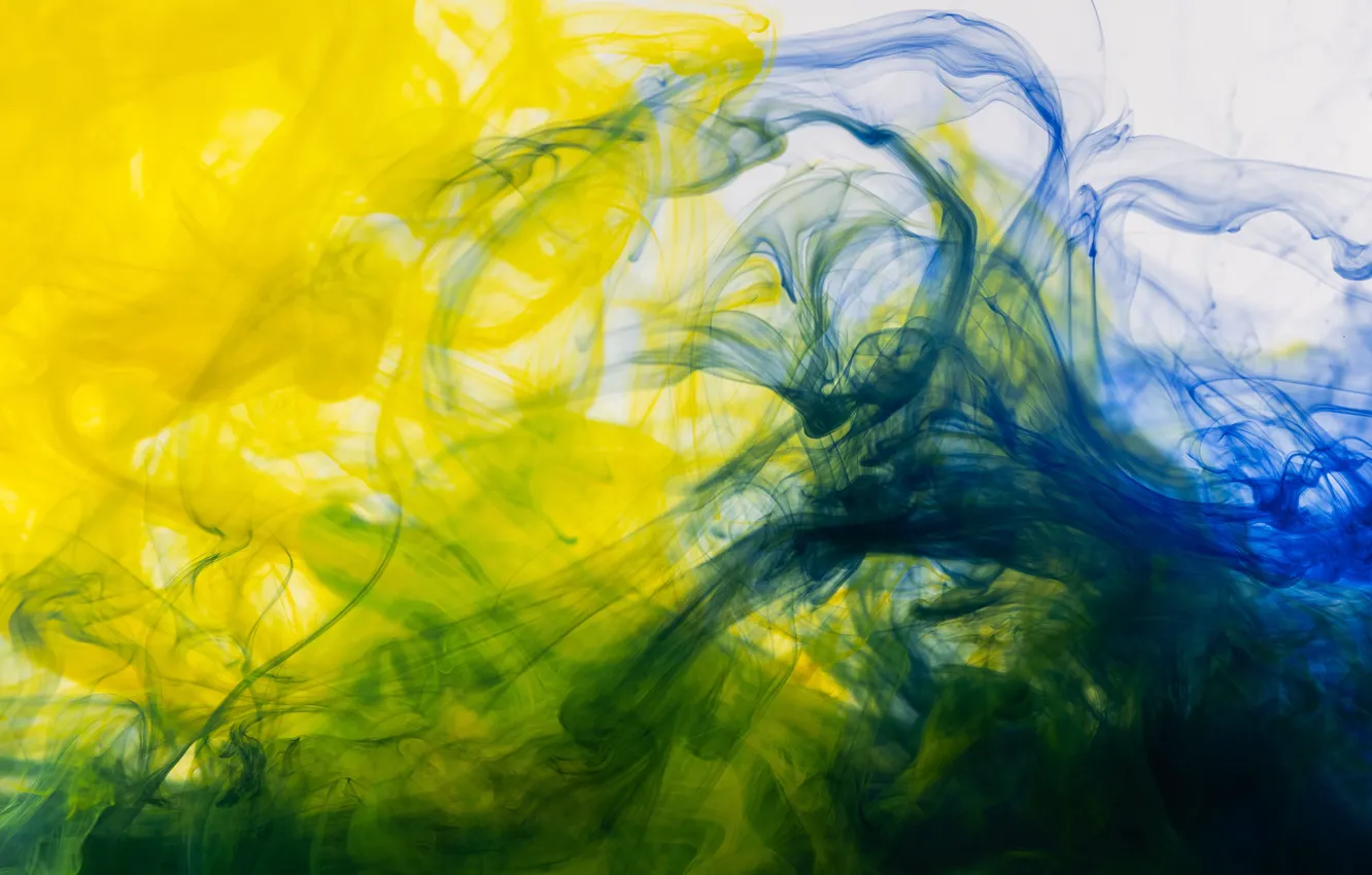 Wallpaper blue, yellow, green, paint, color, divorce, texture, light  background, diffusion, mixing, color mixing images for desktop, section  текстуры - download