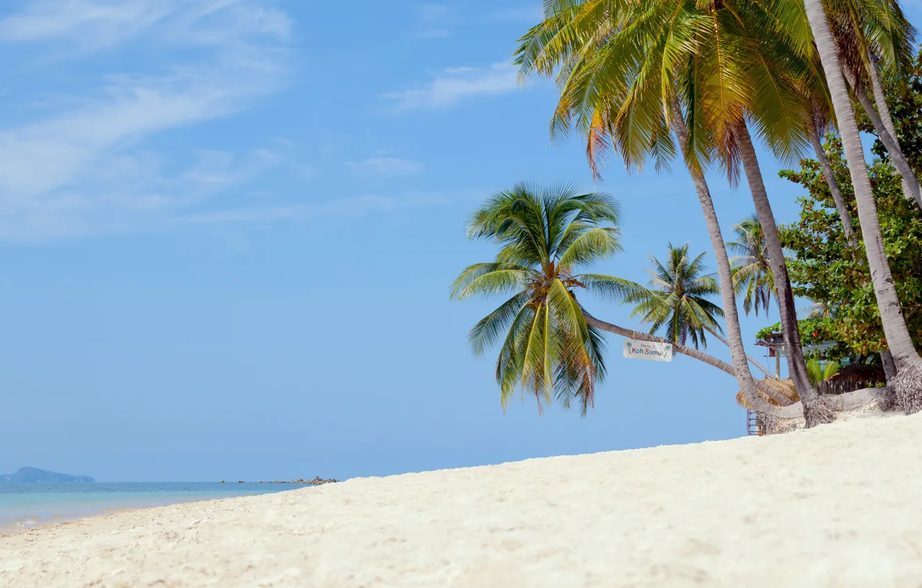 Photo wallpaper sand, sea, beach, summer, the sky, the sun, palm trees, shore, summer, beach, sea, seascape, …