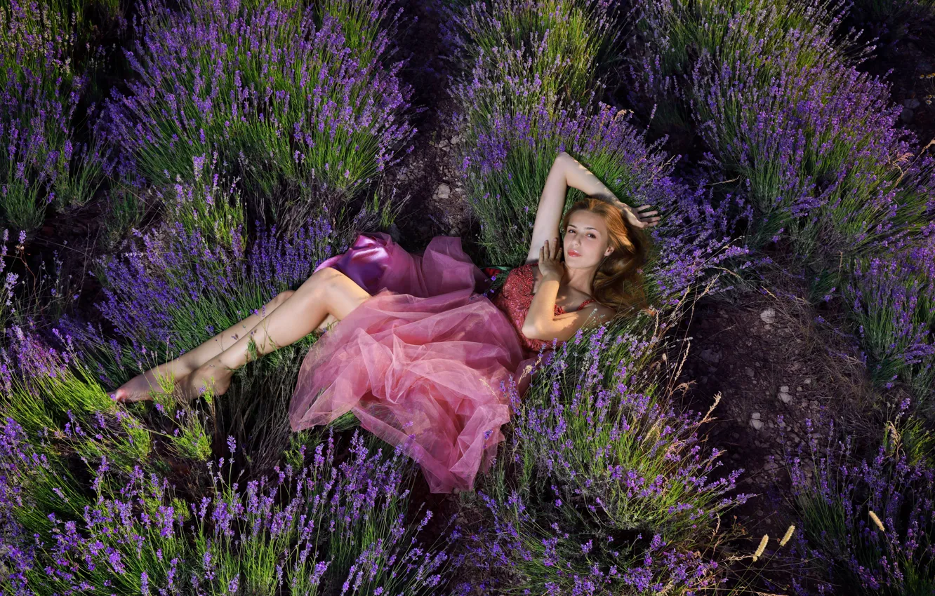 Photo wallpaper look, nature, dress, legs, lavender, It Tan
