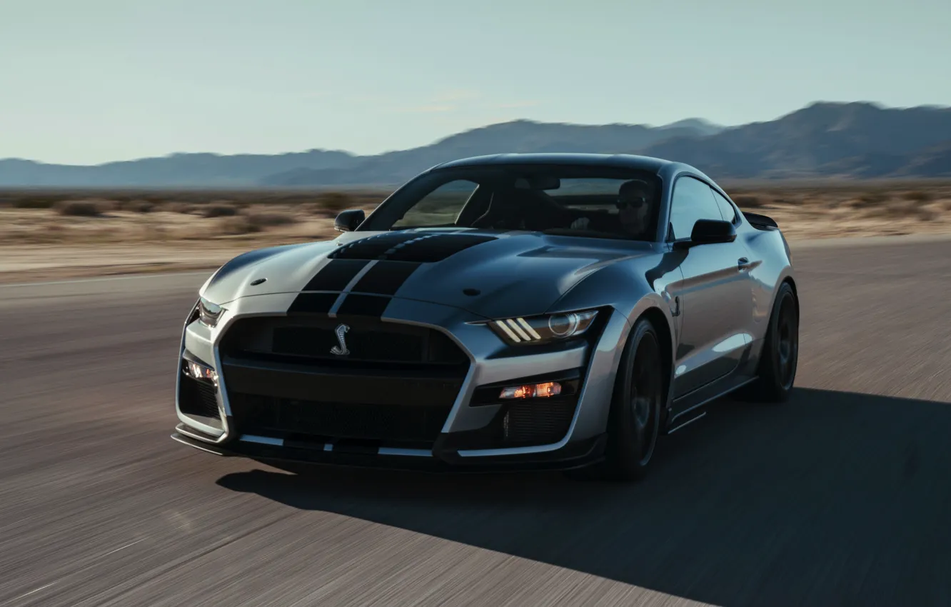 Photo wallpaper speed, Mustang, Ford, Shelby, GT500, 2019, gray-silver