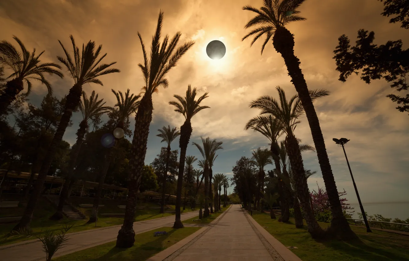 Photo wallpaper road, sea, the sky, palm trees, lights, Eclipse