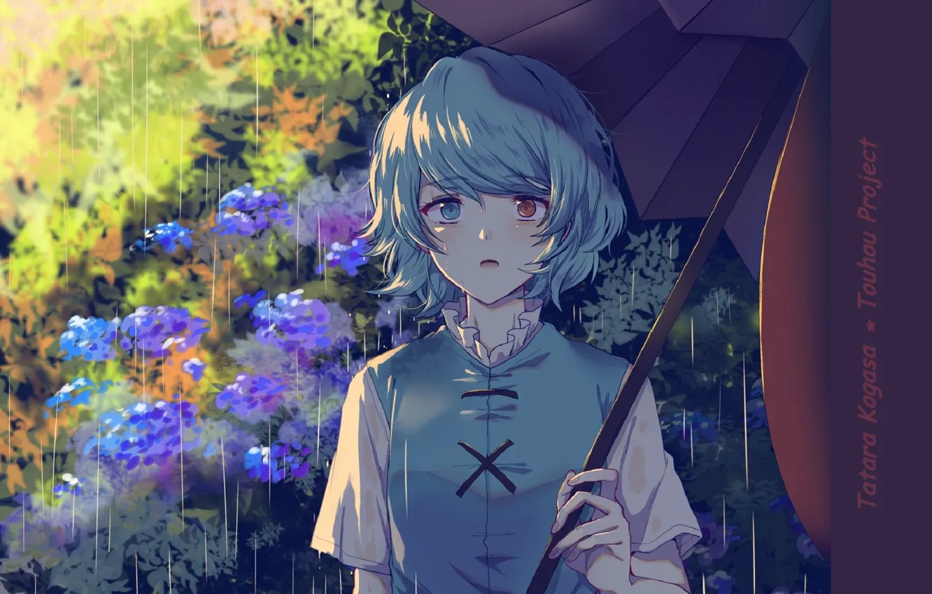 Wallpaper blue hair, hydrangea, different eyes, Touhou Project, under the  umbrella, Project East, summer rain, Tatara Kogas The, by Uranaishi images  for desktop, section игры - download