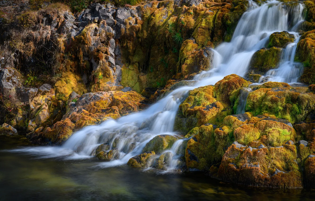 Photo wallpaper stones, waterfall, moss, Iceland, Dynjandi waterfall