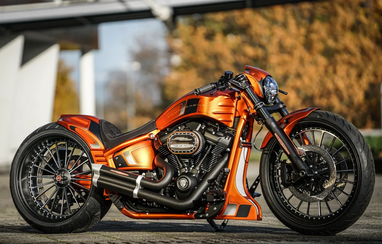 Photo wallpaper Harley-Davidson, Custom, Thunderbike, FXBRS, Gp-Style