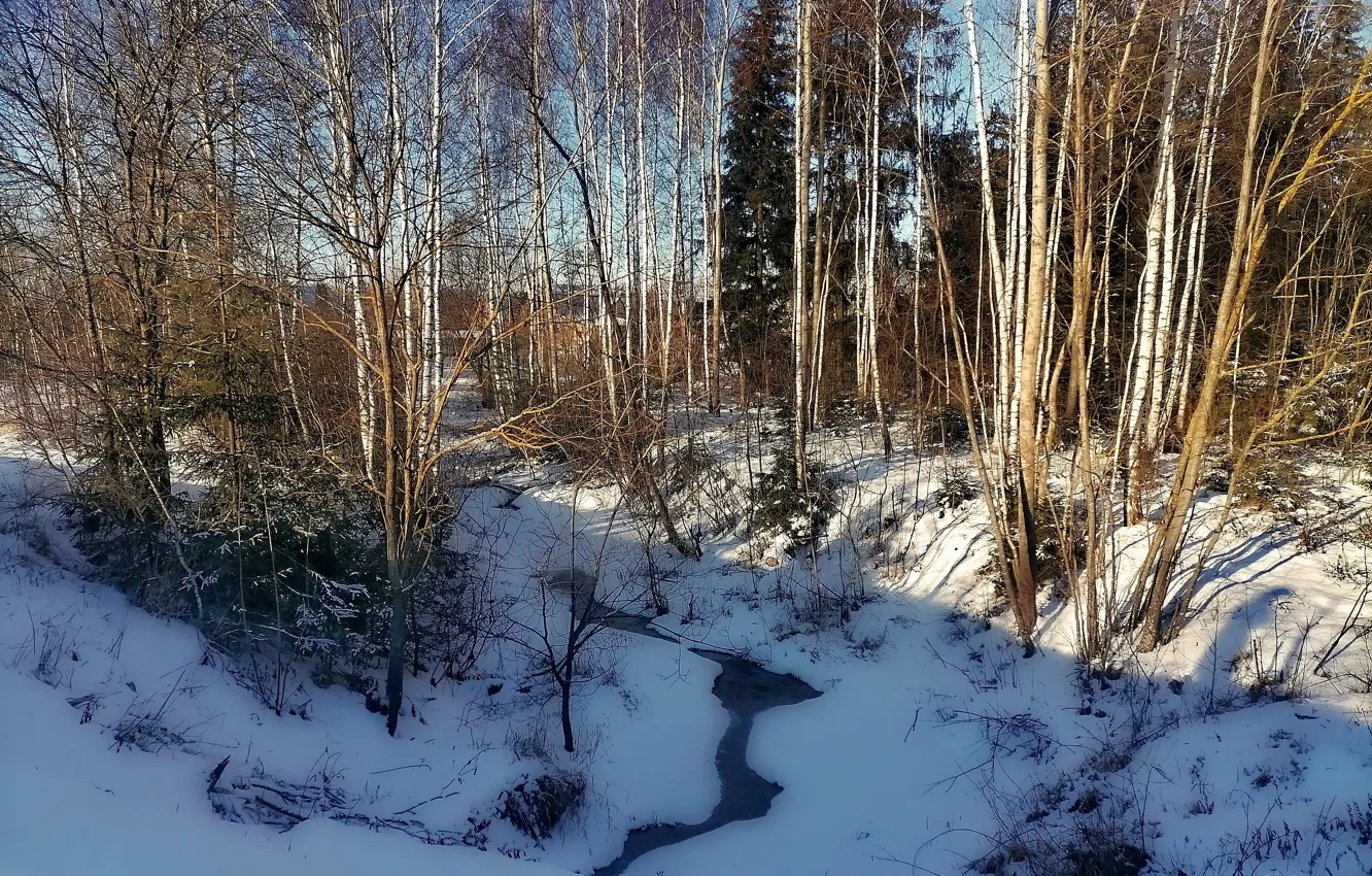 Photo wallpaper winter, forest, nature, stream, Sunny day