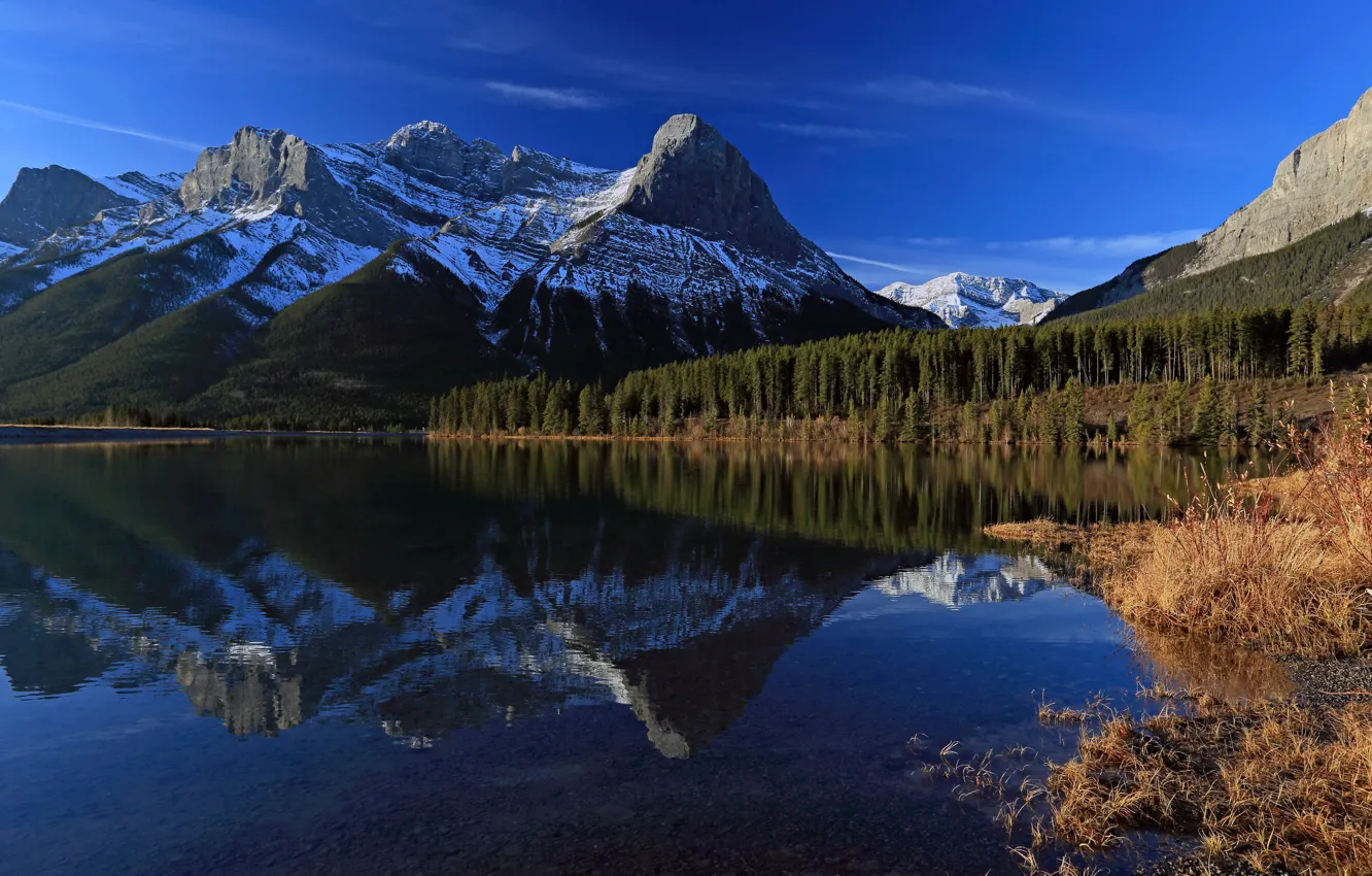Wallpaper forest, mountains, lake, reflection, Canada, Albert, Alberta ...