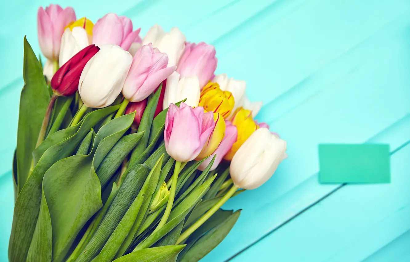 Photo wallpaper flowers, bouquet, spring, colorful, tulips, fresh, pink, flowers, tulips, spring