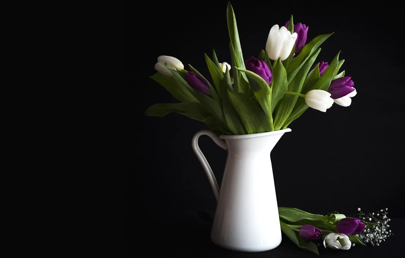 Wallpaper Flowers Tulips Vase Black Background Images For Desktop Section Cvety Download
