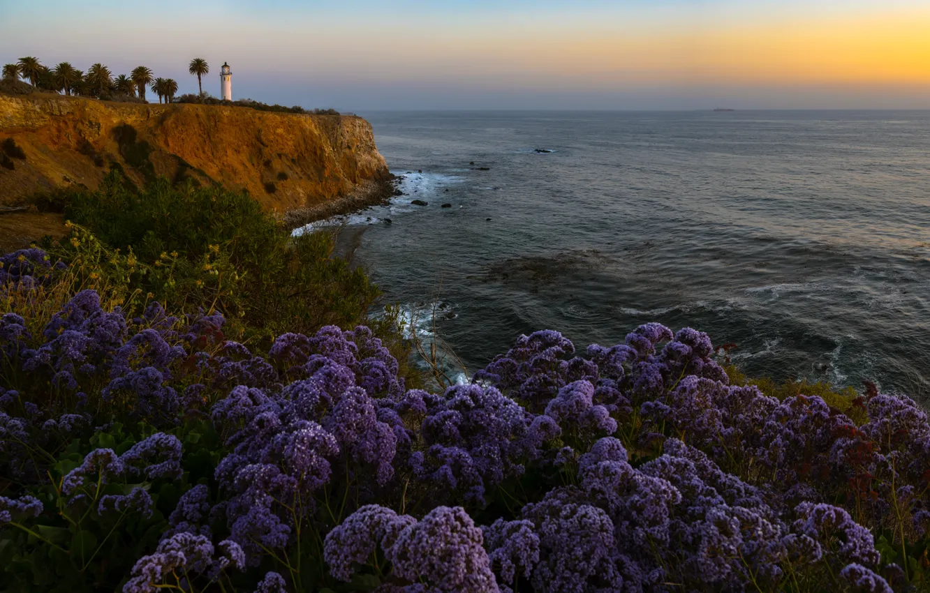Photo wallpaper landscape, sunset, nature, open, the ocean, shore, vegetation, lighthouse, CA, USA