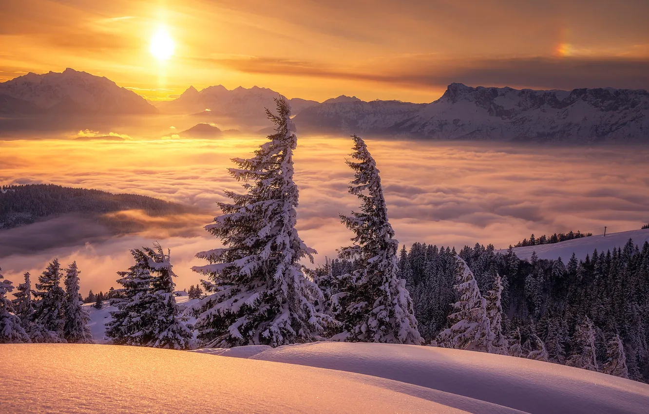 Photo wallpaper winter, clouds, snow, trees, sunset, mountains, Austria, ate, Alps