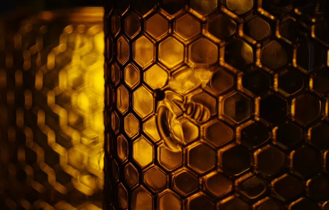 Wallpaper Glass Light Bee Texture Cell Bank Honey Relief Images For Desktop Section Eda Download