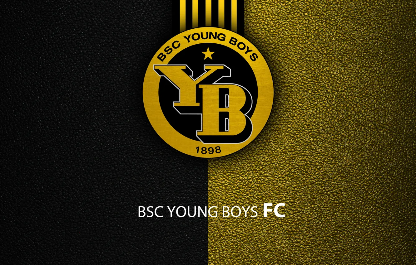 Wallpaper wallpaper, sport, logo, football, BSC Young Boys images for  desktop, section спорт - download