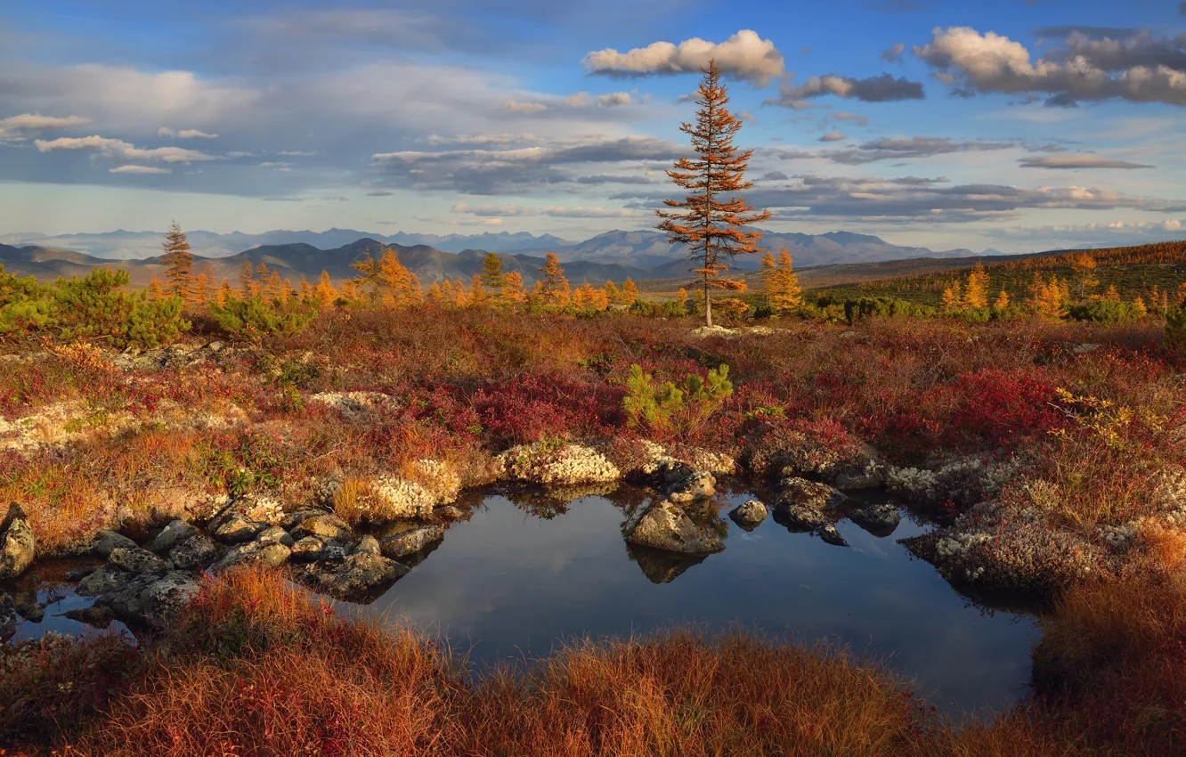 Photo wallpaper autumn, landscape, mountains, nature, stones, vegetation, pond, Kolyma, Maxim Evdokimov