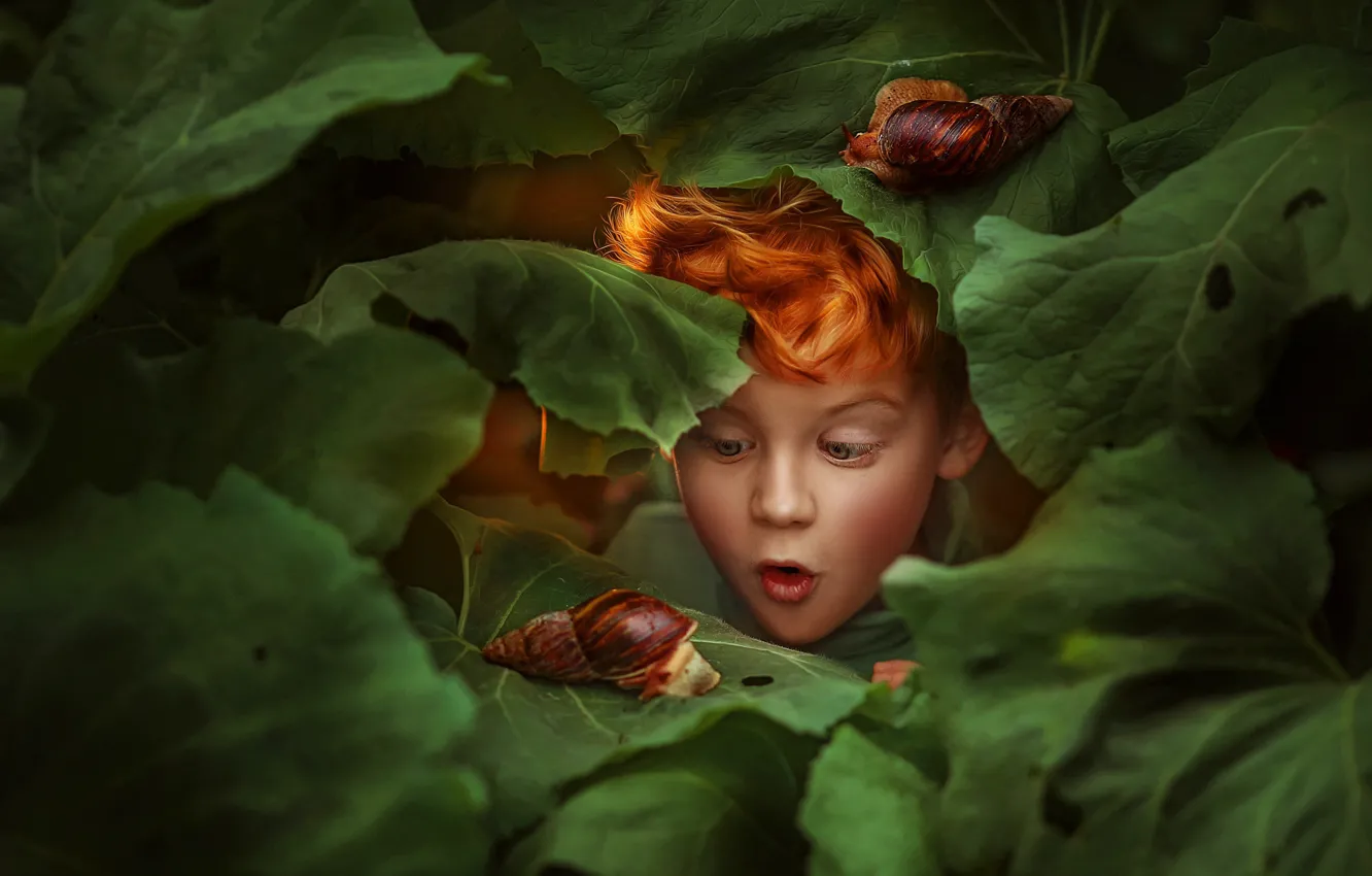 Photo wallpaper leaves, face, surprise, snails, boy, red, redhead, Lyubov Pyatovskaya