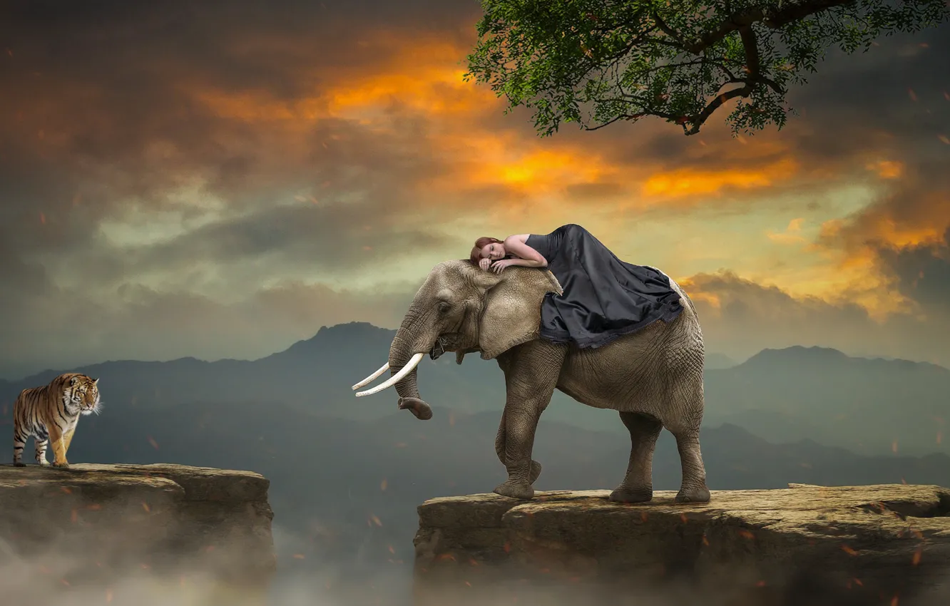 Wallpaper girl, sunset, mountains, tiger, rendering, open, tree, rocks,  elephant, art, abyss, photoart images for desktop, section рендеринг -  download