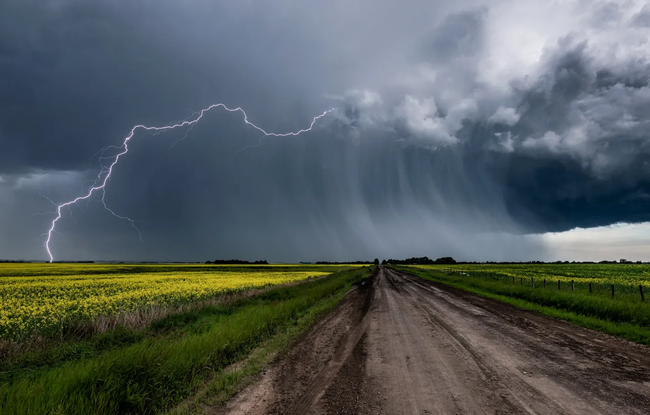 Photo wallpaper road, the storm, field, the sky, grass, flowers, clouds, element, lightning, yellow, space, the shower, …