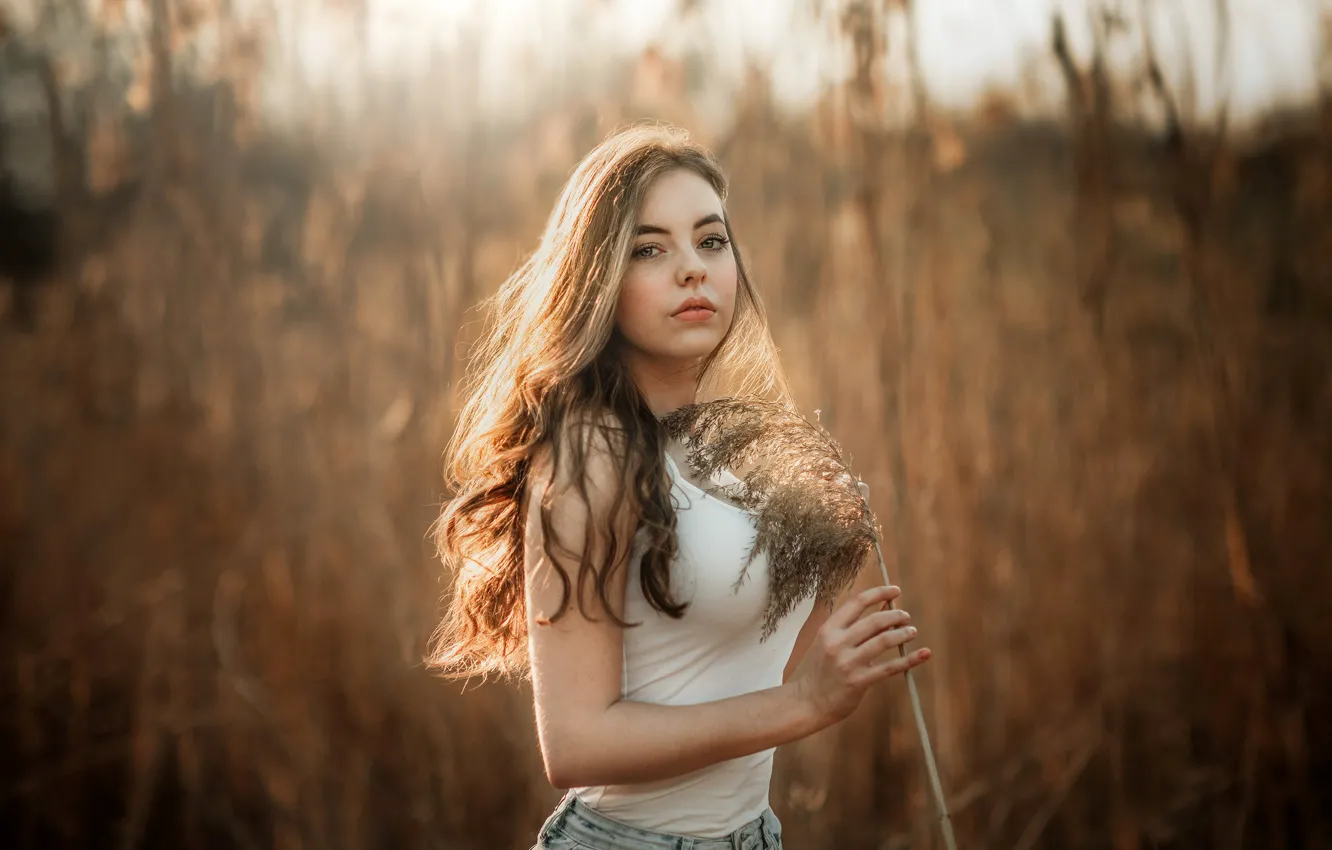 Photo wallpaper field, grass, look, the sun, model, portrait, jeans, makeup, Mike, figure, hairstyle, nature, posing, bokeh, …