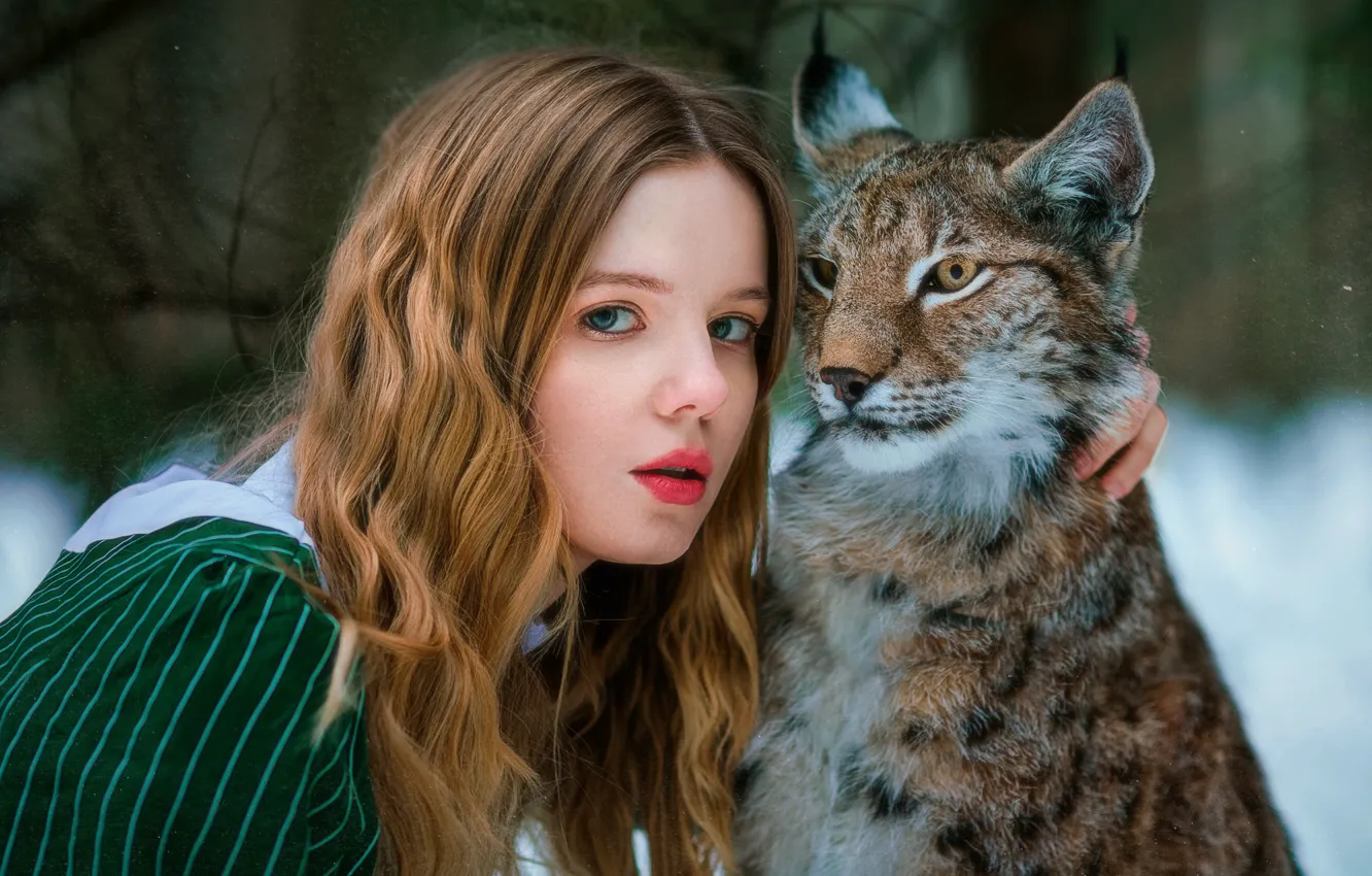 Photo wallpaper look, girl, face, lynx, friends, wild cat, long hair, Alexandra Savenkova
