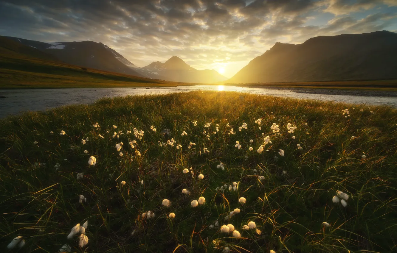 Photo wallpaper grass, the sun, landscape, sunset, mountains, nature, river, tundra, Ural, The Arctic, cottongrass, Rev Alex
