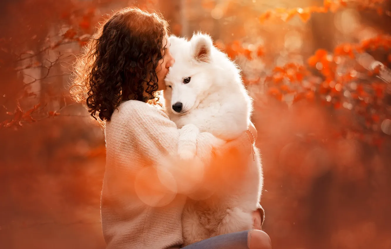 Wallpaper autumn, girl, love, mood, dog, friendship, friends, Samoyed images  for desktop, section настроения - download