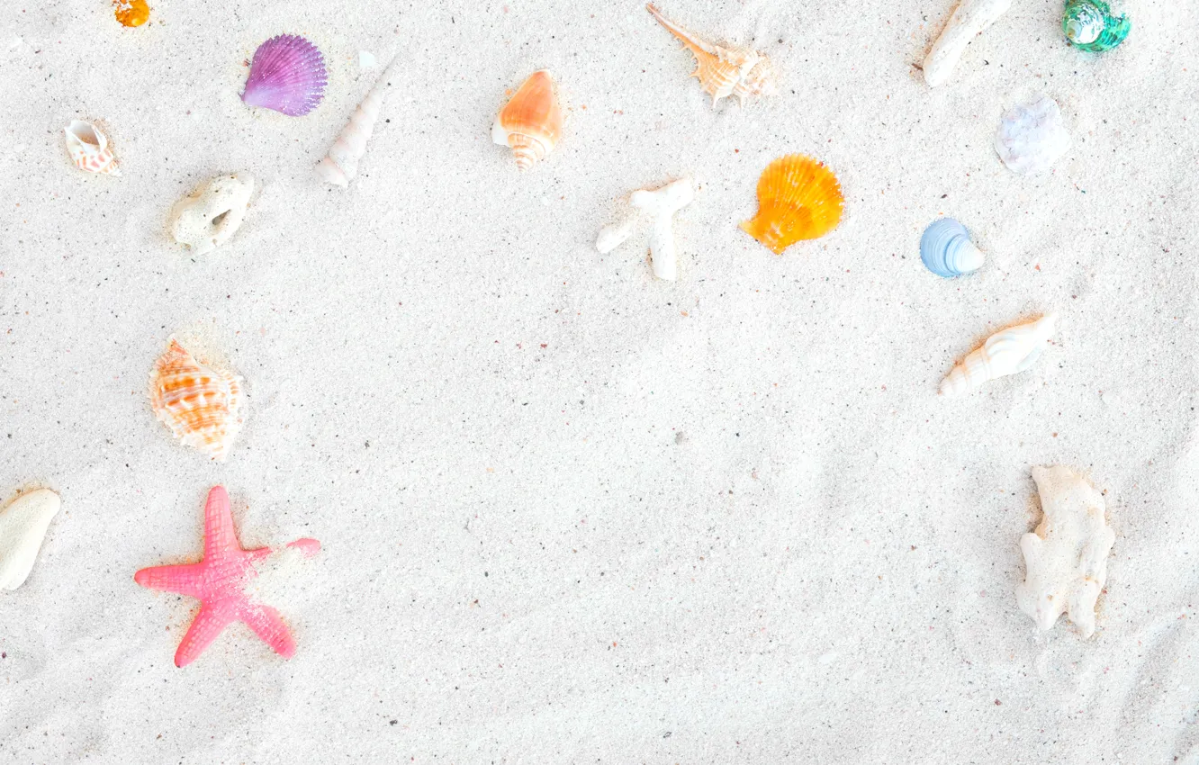 Photo wallpaper sand, beach, background, star, shell, summer, beach, sand, marine, starfish, seashells