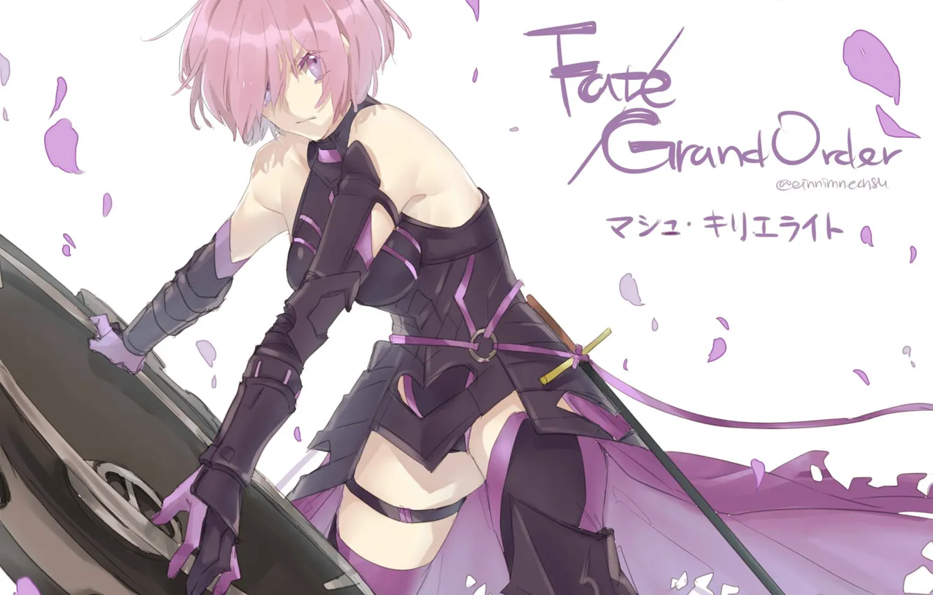 Wallpaper Girl Shield Fate Grand Order The Destiny Of A Great Campaign Images For Desktop Section Syonen Download
