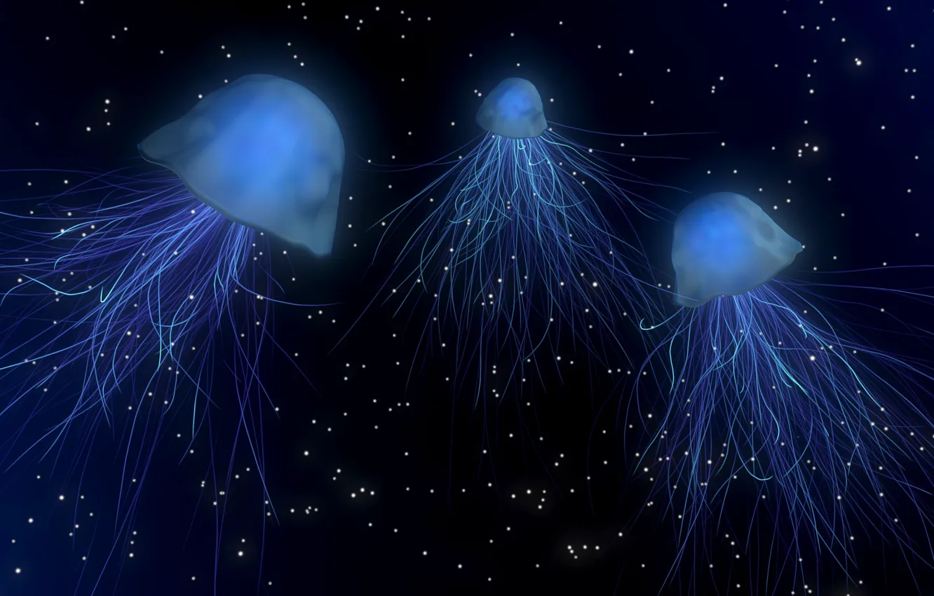Photo wallpaper sea, depth, jellyfish